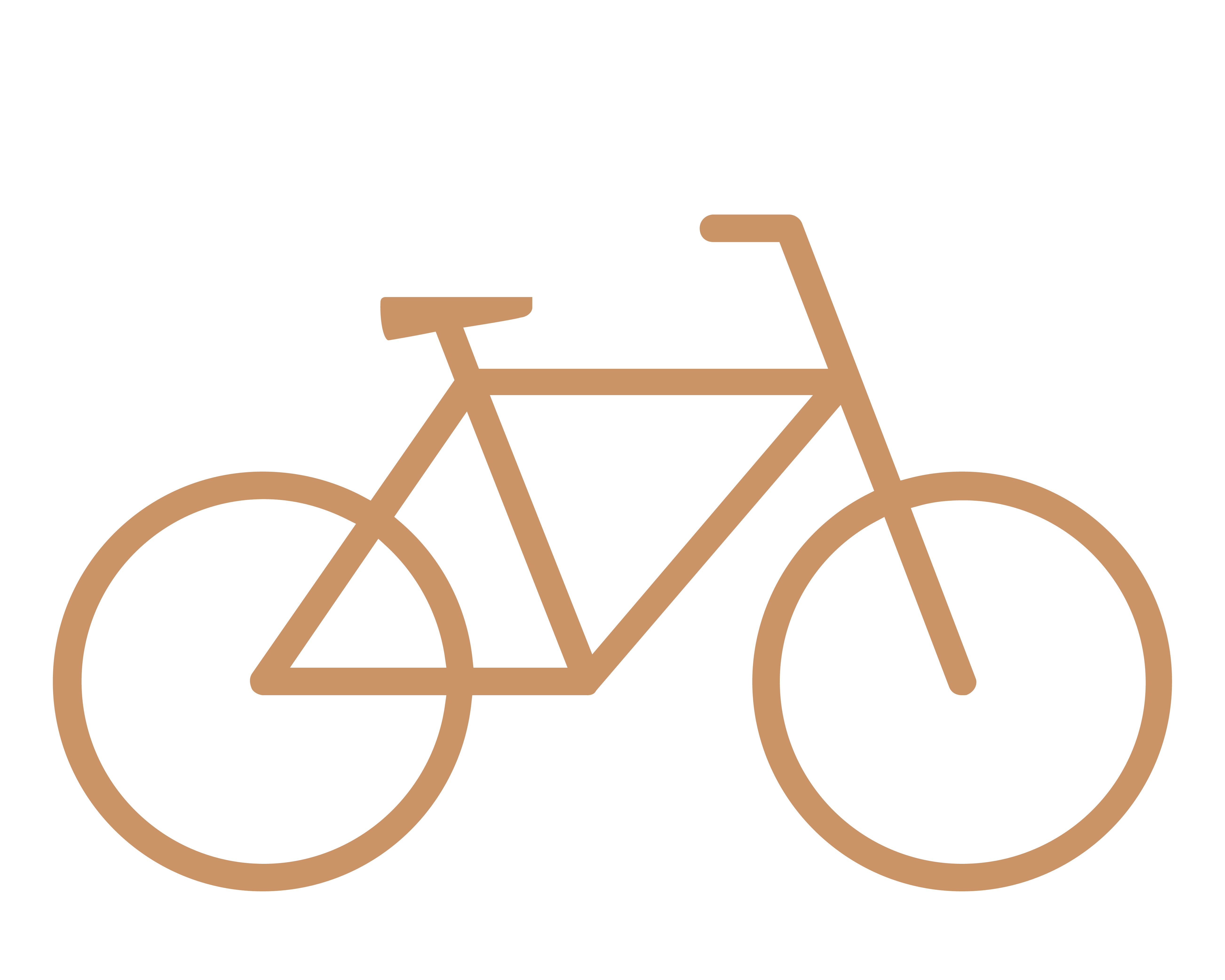 bike logo